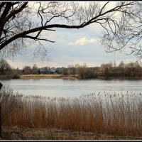 *** :: Aleksandr Gal *** :: Aleksandr Gal