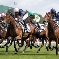 Конный спорт :: СЕРГЕЙ ФИЛОЧКИН