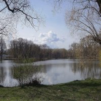 Апрельский пейзаж :: Рита Симонова