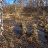 ***** :: юрий поляков