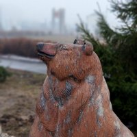 Медведица :: Радмир Арсеньев