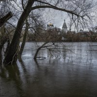 Деревья в половодье :: sorovey Sol