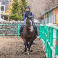 НА КОНЕ :: Аркадий Лаптенко