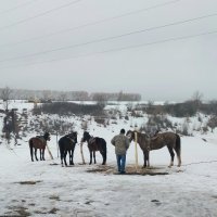 Ак Булак. :: Murat Bukaev