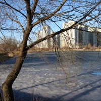 Март :: Наталья Герасимова