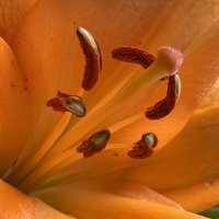 ... :: Любовь ... :: Любовь