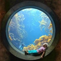 Подводный мир -1 :: irina Schwarzer Подводный мир -1 :: irina Schwarzer