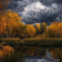 Соавторство с ИИ :: Роман Савоцкий