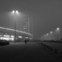 * :: Светлана Воробьева