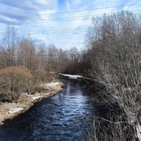 Река Гороховка. :: Ольга 