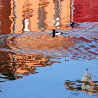 Болотная наб :: Михаил Бибичков