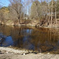 весенние зарисовки :: ИННА ПОРОХОВА