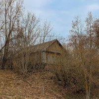 ... :: Анастасия Логинова