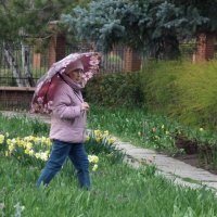 Девушка с зонтом :: Валентин Семчишин