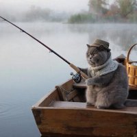 Котофеич на рыбалке :: СЕРГЕЙ ФИЛОЧКИН