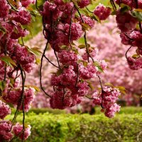 Доброе утро :: Юрий. Шмаков Доброе утро :: Юрий. Шмаков