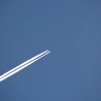 Белый Лебедь в полёте :: Танзиля Завьялова