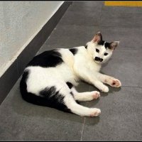 Ёрик :: Ольга Довженко