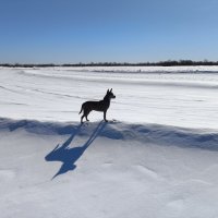 Весна :: Anna Ivanova