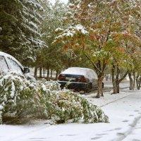 Начало сентября. :: Михаил К