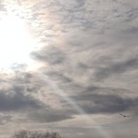 ..... :: Андрей 