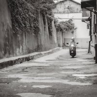 Роллер-Леди (чб) :: Сергей Царёв