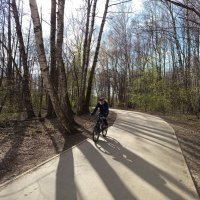 Догнать Савранского - это утопия :: Андрей Лукьянов