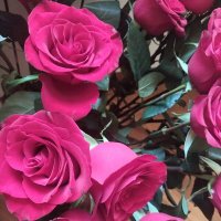 ...... :: Murat Bukaev