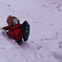 Апрель...Скатаю-ка снежок побольше! :: Владимир 