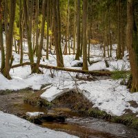 У ручья :: Сергей Цветков