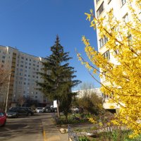 Весна в городе! :: Ирина Олехнович