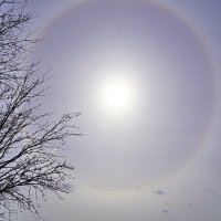 Гало :: Галина Кан