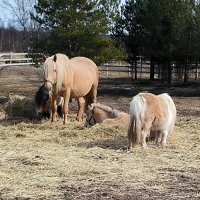 В Яви Нави. :: Ольга 