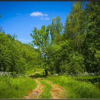 ИЮНЬСКИЙ ПОЛДЕНЬ. :: Александр Дмитриев