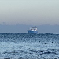 Утро. В туманной дымке. :: Валерия Комова