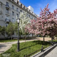 Весна в Петербурге :: Евгений