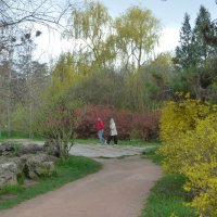 Весенний пейзаж :: Валентин Семчишин Весенний пейзаж :: Валентин Семчишин