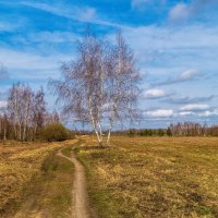 Весенняя прогулка 5. :: Андрей Дворников