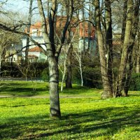 По дорожкам парка.. :: Aida10