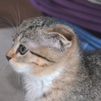 Квартира Ксюши :: Savayr 