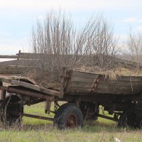Провинциальные зарисовки :: Елена Минина