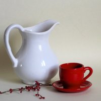 Белое и красное. :: Татьяна Гнездилова