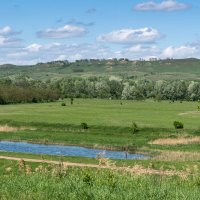 Окрестности, Успенский район :: Игорь Сикорский