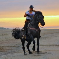 Потанцуй подомной. вороной :: Valziwa 