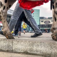 АРКА :: Александр Кустов