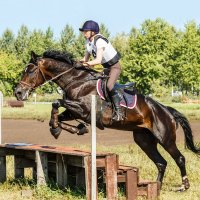 Кросс :: SanSan 