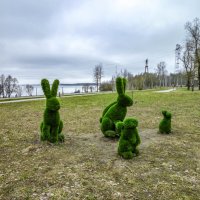 Старые знакомые. :: Михаил "Skipper"