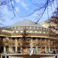 Дорога в храм искусства :: Татьяна Лютаева