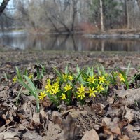 "Что выросло, то выросло.." :: AleksSPb Лесниченко
