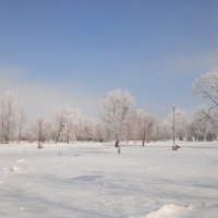 март :: Елена Шаламова